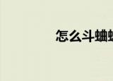 怎么斗蛐蛐（如何斗蛐蛐）