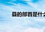 县的部首是什么（县字解释及组词）