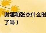 谢娜和张杰什么时候离的婚（谢娜和张杰离婚了吗）