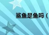 鲨鱼是鱼吗（大家可以了解一下）