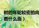 树的年轮较密的向着（树的年轮较密的地方向着什么面）