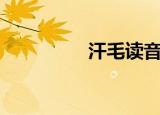 汗毛读音（汗毛怎么读）