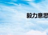 毅力意思（什么是毅力）