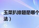 玉菜扒排翅是哪个地方的菜（玉菜扒排翅的做法）
