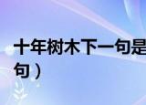 十年树木下一句是什么（十年树木有没有下一句）