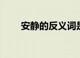 安静的反义词是什么（安静的意思）