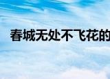 春城无处不飞花的下一句（古诗内容介绍）