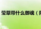 莹草带什么御魂（阴阳师莹草御魂搭配推荐）