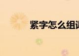 紧字怎么组词（紧的组词精选）