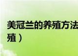美冠兰的养殖方法及注意事项（美冠兰如何养殖）