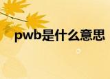 pwb是什么意思（怎么理解pwb的意思）