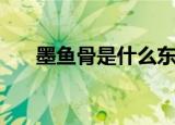 墨鱼骨是什么东西（墨鱼骨简单介绍）