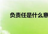 负责任是什么意思（如何理解负责任）