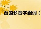 畜的多音字组词（畜的多音字读音及组词）