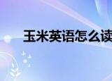 玉米英语怎么读（玉米的英语是什么）