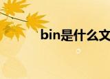 bin是什么文件（bin文件介绍）