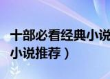 十部必看经典小说黑道是什么（十部经典黑道小说推荐）