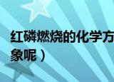 红磷燃烧的化学方程式（红磷燃烧会有什么现象呢）