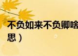不负如来不负卿啥寓意（不负如来不负卿的意思）