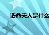 诰命夫人是什么意思（诰命夫人解释）