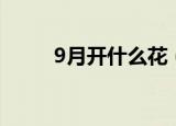 9月开什么花（哪些花在9月开花）