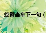 螳臂当车下一句（螳臂当车下一句是什么）