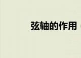 弦轴的作用（弦轴的作用简述）