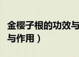 金樱子根的功效与作用（金樱子根有哪些功效与作用）