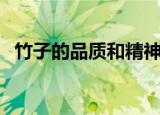 竹子的品质和精神（竹子有什么品质精神）