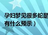 孕妇梦见很多蛇是什么意思（孕妇梦见很多蛇有什么预示）