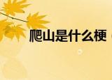 爬山是什么梗（爬山梗是什么意思）