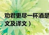 劝君更尽一杯酒是哪首诗（劝君更尽一杯酒原文及译文）