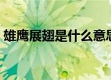 雄鹰展翅是什么意思（雄鹰展翅意思是什么）