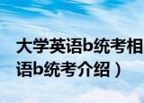 大学英语b统考相当于什么水平（关于大学英语b统考介绍）