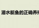 潜水艇鱼的正确养殖方法（潜水艇鱼怎么养）