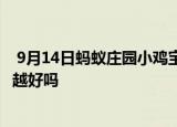  9月14日蚂蚁庄园小鸡宝宝问题 打呼噜声越大代表睡眠质量越好吗