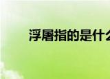 浮屠指的是什么（浮屠是什么意思）