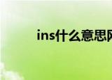 ins什么意思网络用语（ins解释）