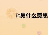 it男什么意思（IT又是什么意思）