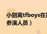 小别离tfboys在第几集（简述小别离剧情及参演人员）