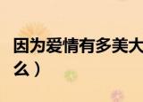 因为爱情有多美大结局剧情介绍（大结局是什么）