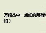 万绿丛中一点红的所有诗句是什么（万绿丛中一点红原文介绍）
