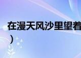 在漫天风沙里望着你远去是什么歌（原唱是谁）