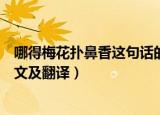 哪得梅花扑鼻香这句话的全文是什么（哪得梅花扑鼻香的原文及翻译）
