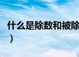 什么是除数和被除数（除数和被除数怎么区分）