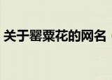 关于罂粟花的网名（关于罂粟花的网名大全）