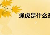 蝇虎是什么东西（蝇虎是什么）