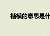楷模的意思是什么（楷模是什么意思）
