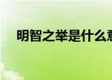 明智之举是什么意思（明智之举的意思）