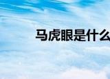 马虎眼是什么意思（马虎眼解释）